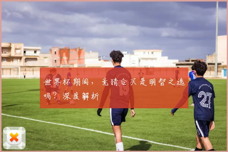 世界杯期间,竞猜合买是明智之选吗?深度解析