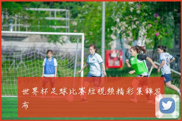 世界杯足球比赛短视频精彩集锦发布