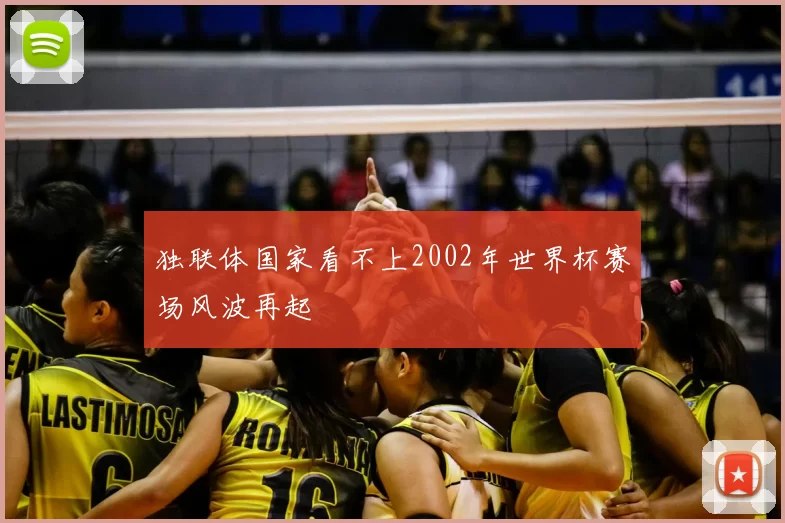 独联体国家看不上2002年世界杯赛场风波再起