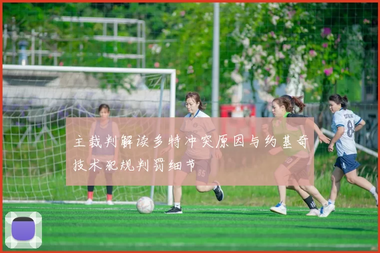 主裁判解读多特冲突原因与约基奇技术犯规判罚细节