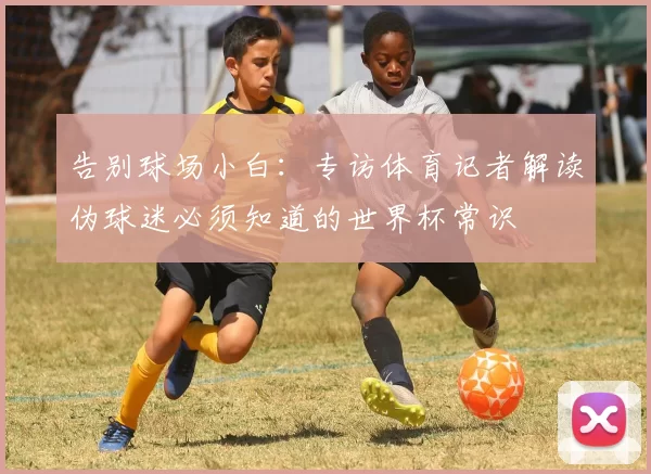 告别球场小白:专访体育记者解读伪球迷必须知道的世界杯常识