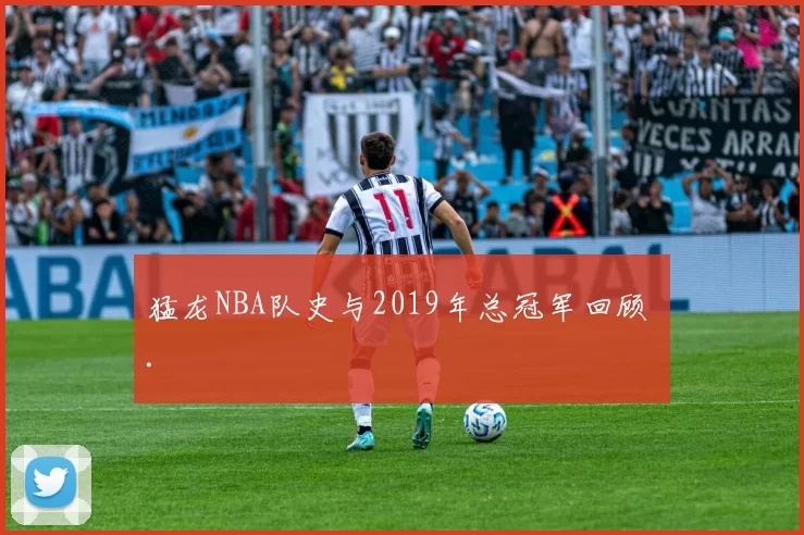 猛龙NBA队史与2019年总冠军回顾 .