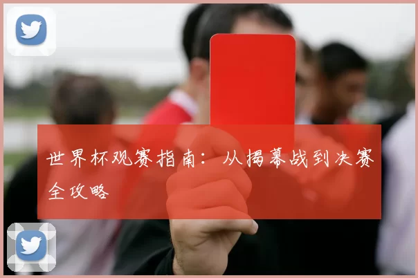 世界杯观赛指南:从揭幕战到决赛全攻略