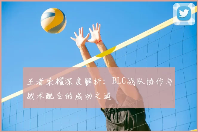 王者荣耀深度解析:BLG战队协作与战术配合的成功之道