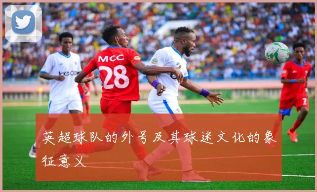 英超球队的外号及其球迷文化的象征意义