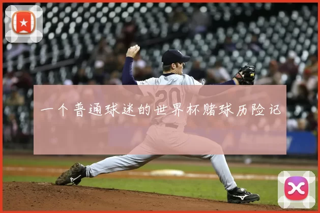 一个普通球迷的世界杯赌球历险记