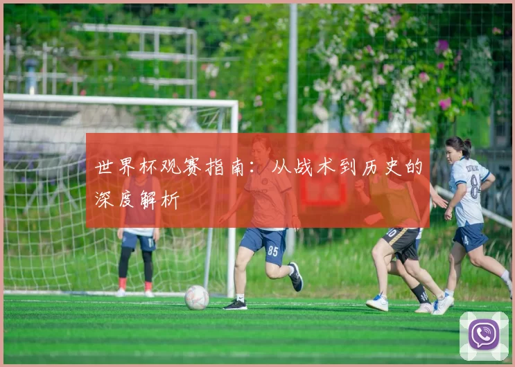 世界杯观赛指南:从战术到历史的深度解析