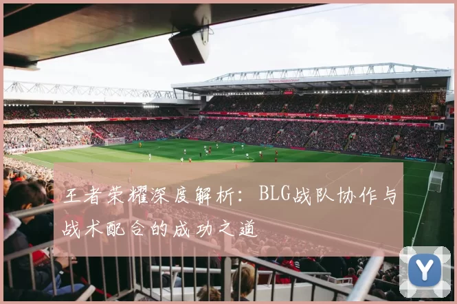 王者荣耀深度解析：BLG战队协作与战术配合的成功之道