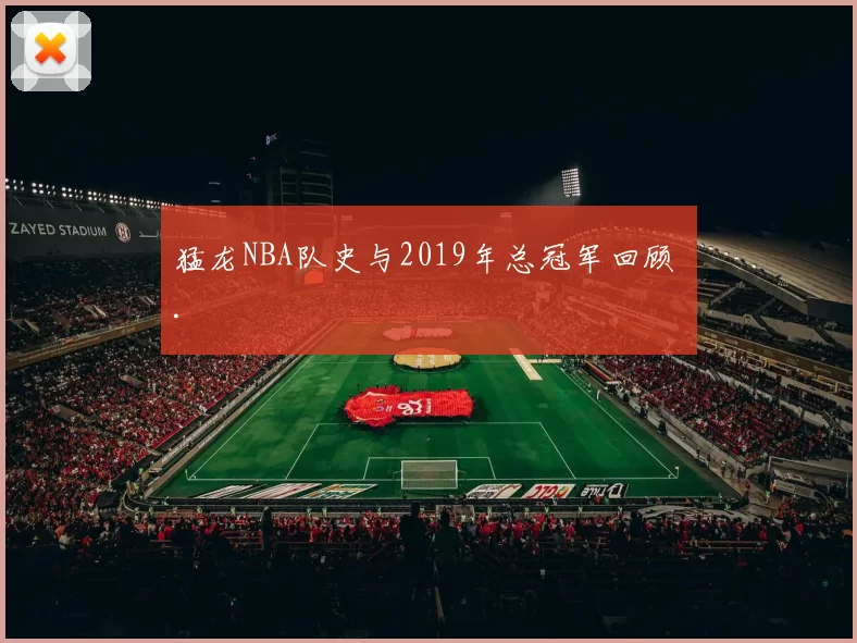 猛龙NBA队史与2019年总冠军回顾 .