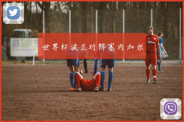 世界杯波兰对阵塞内加尔