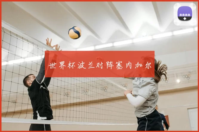 世界杯波兰对阵塞内加尔