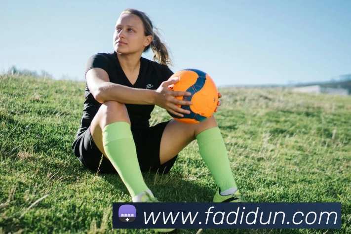 乐鱼体育发展历程